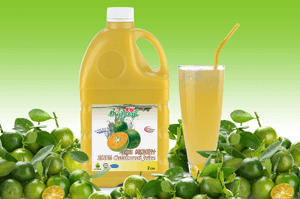 calamansi-100